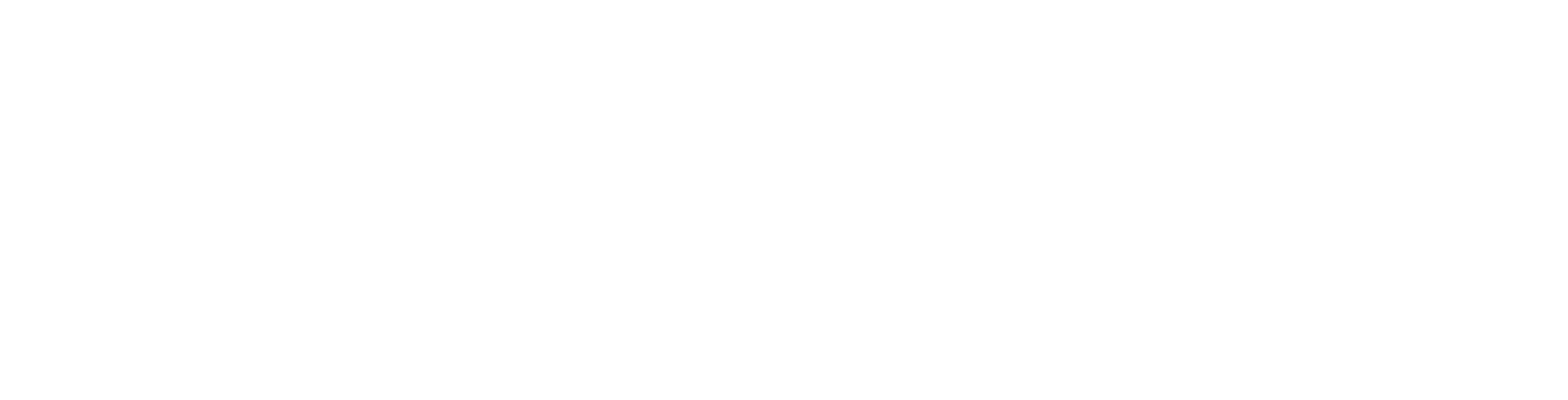 saltoki-logo